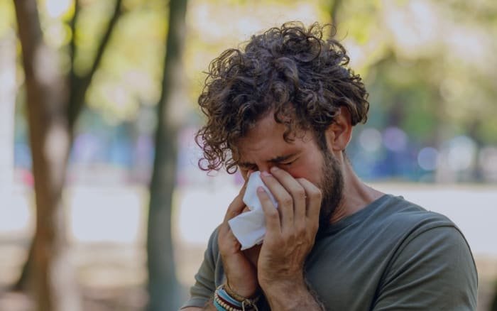 Alex³ Allergy Test